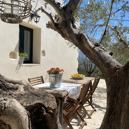 Petra & Elia Tatil Evi *