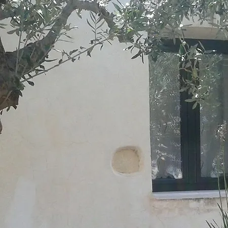Tatil Evi Petra & Elia